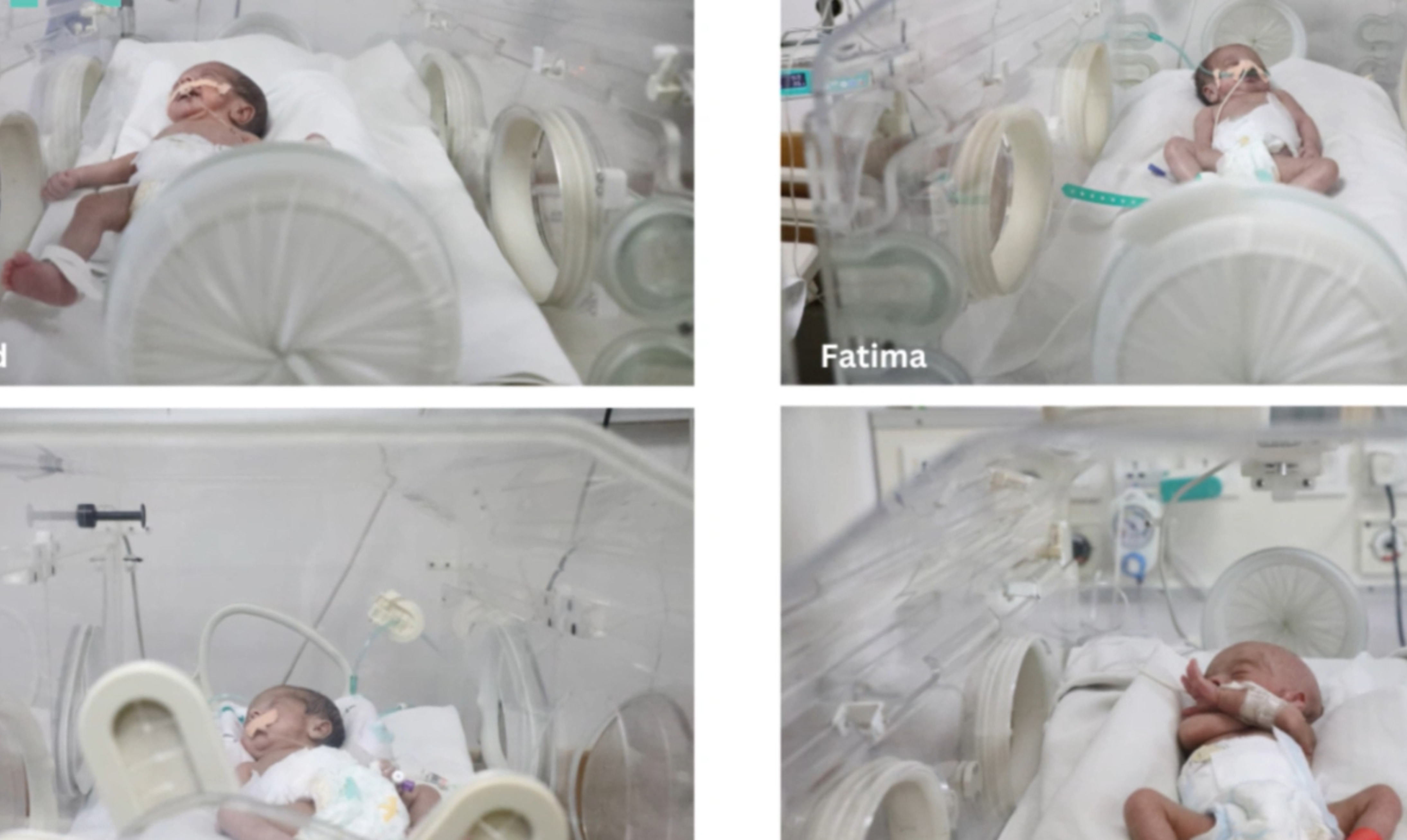 4 babies.jpg